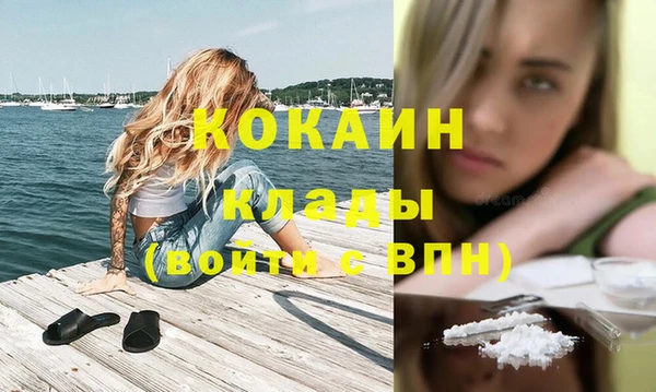 Альфа ПВП Горняк
