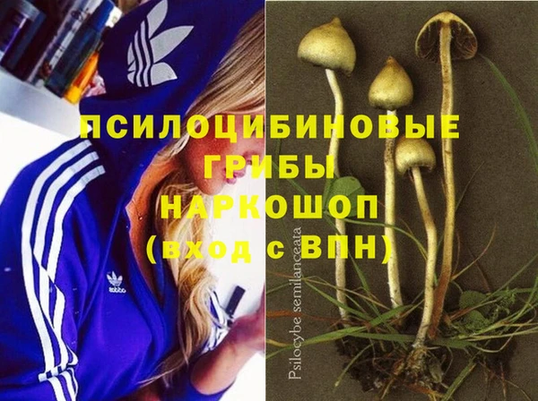 соль курить ск Горно-Алтайск