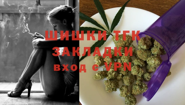 Альфа ПВП Горняк