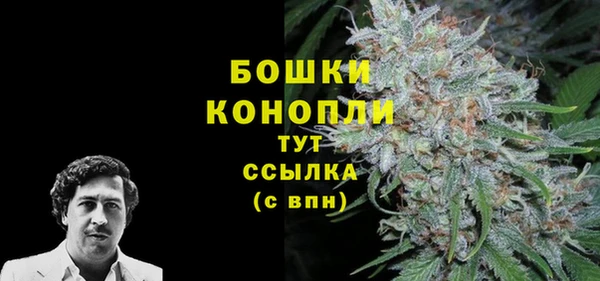 Альфа ПВП Горняк